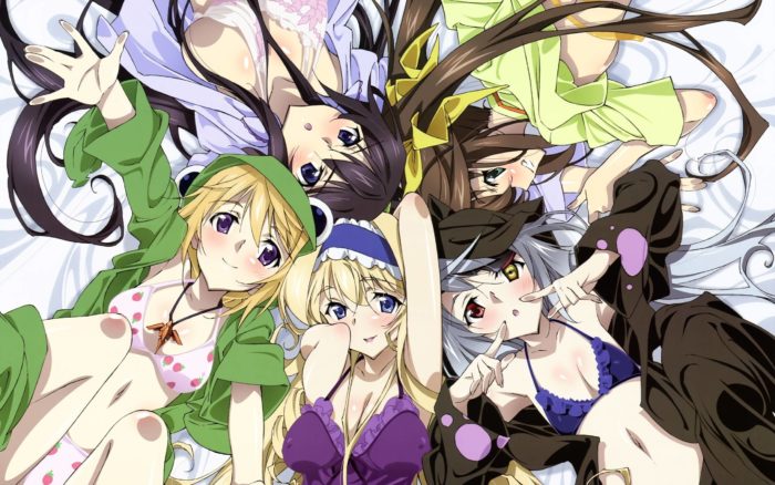 IS: Infinite Stratos
